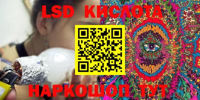 гидра Будённовск