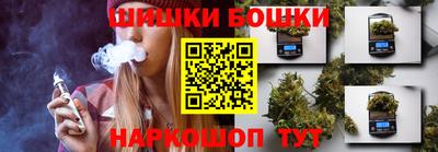 гидра Будённовск