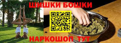 гидра Будённовск