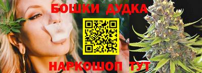 гидра Будённовск